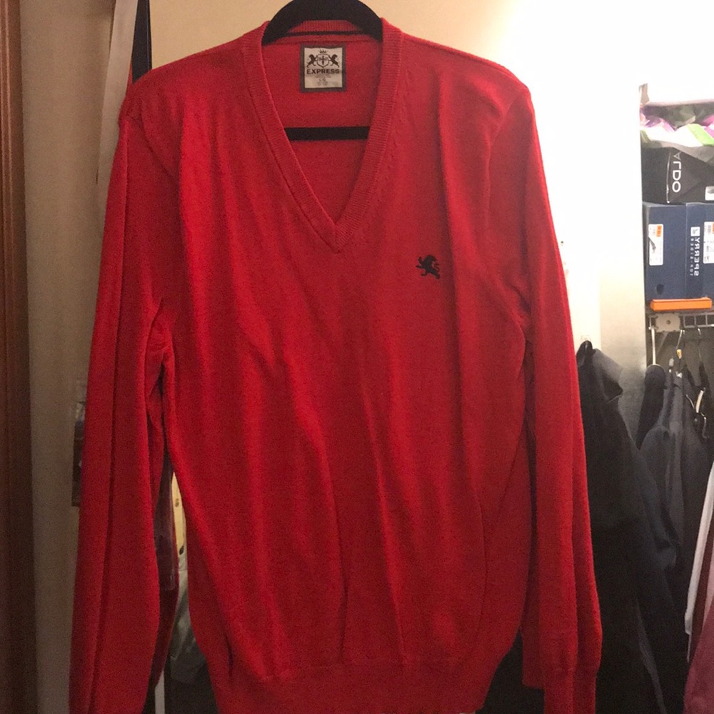 Express men’s sweater